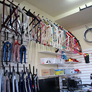 Mountain Bike na natureza